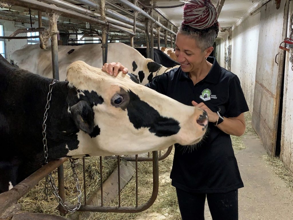 Pandémie et manque de main-d’œuvre, un fléau aussi pour les producteurs