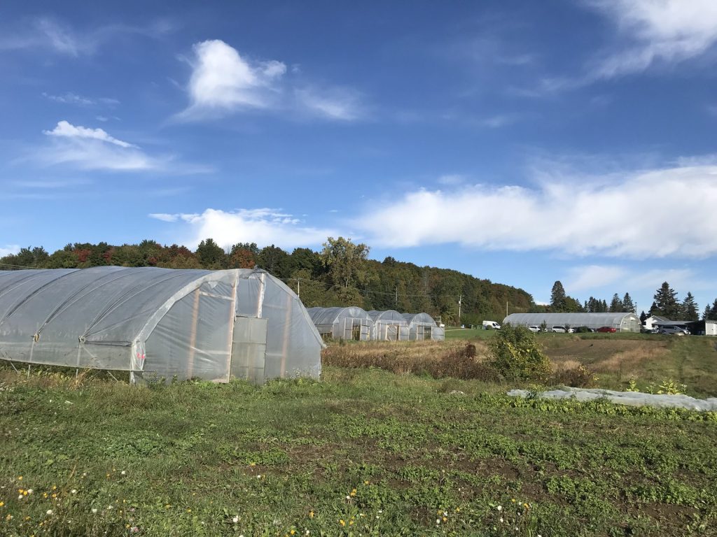 Un nouveau site s’implantera à Champboisé